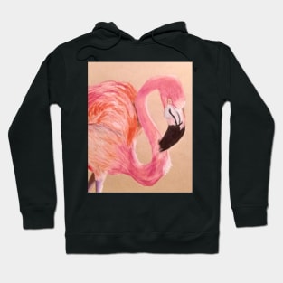 Flamingo Hoodie